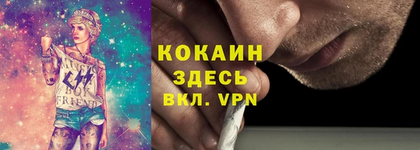 mdpv Инсар