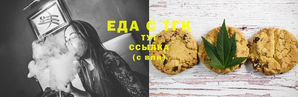 мдпв Инта