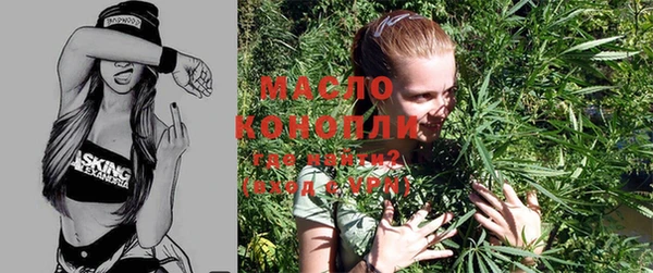 мдпв Инта