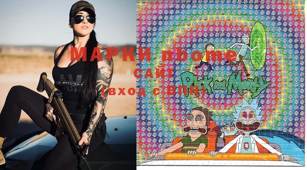 мдпв Инта