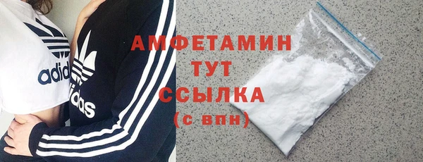 мдпв Инта