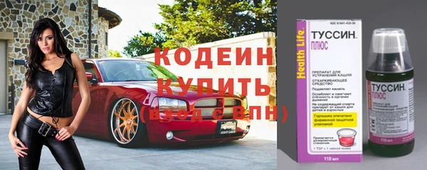 mdpv Инсар