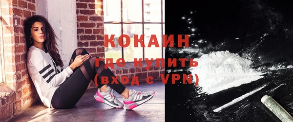 мдпв Инта