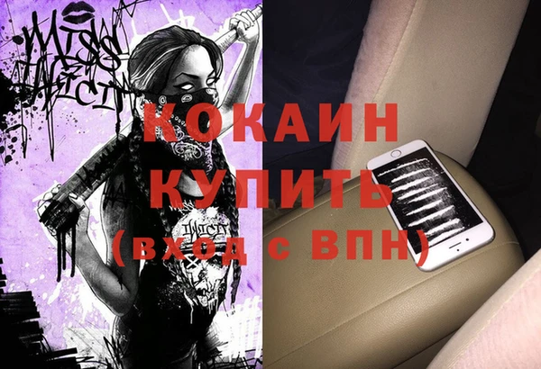 mdpv Инсар