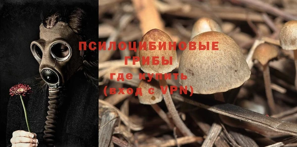 мдпв Инта