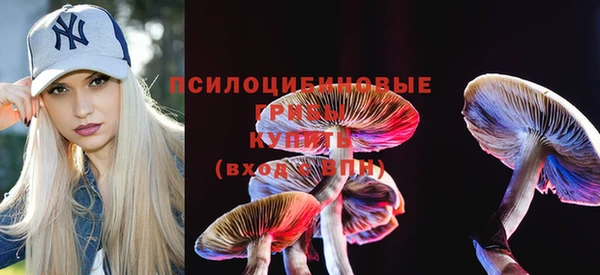 дурь Иннополис