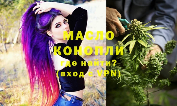 мдпв Инта