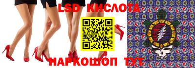 прущие грибы Краснокаменск