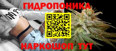 Альфа ПВП Краснодар