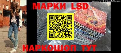 прущие грибы Краснокаменск