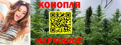 прущие грибы Краснокаменск