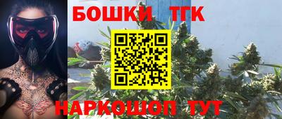прущие грибы Краснокаменск