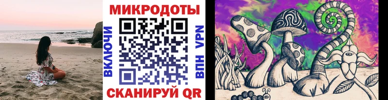 где найти наркотики  Куйбышев  Псилоцибиновые грибы Magic Shrooms 