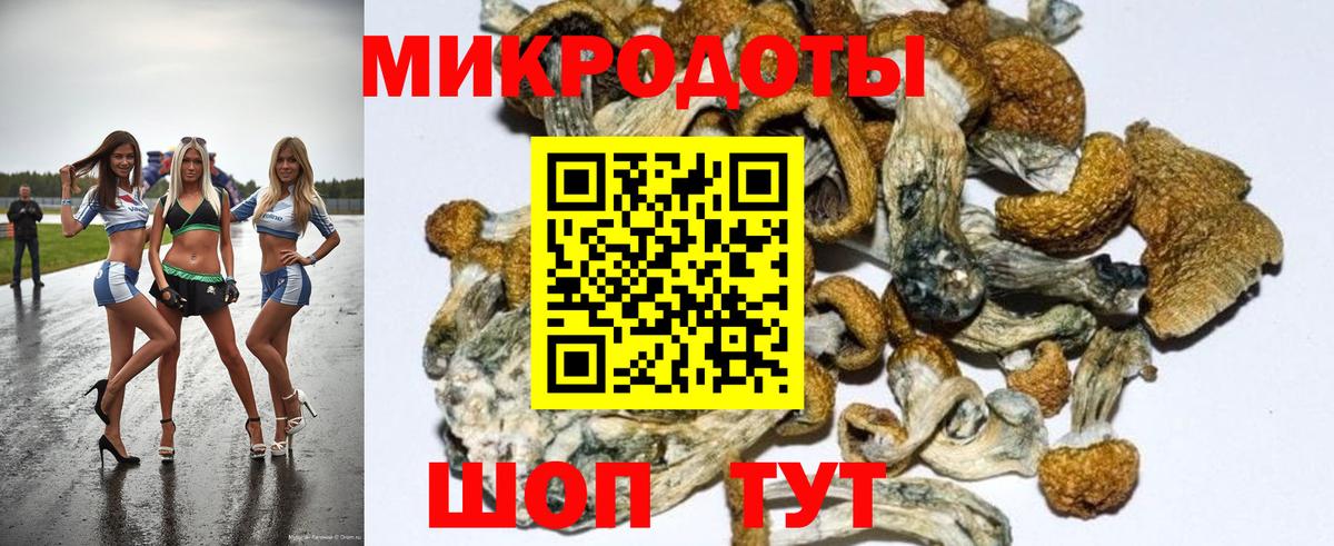 Галлюциногенные грибы Cubensis  Галлюциногенные грибы GOLDEN TEACHER  Вход с VPN  Куйбышев 