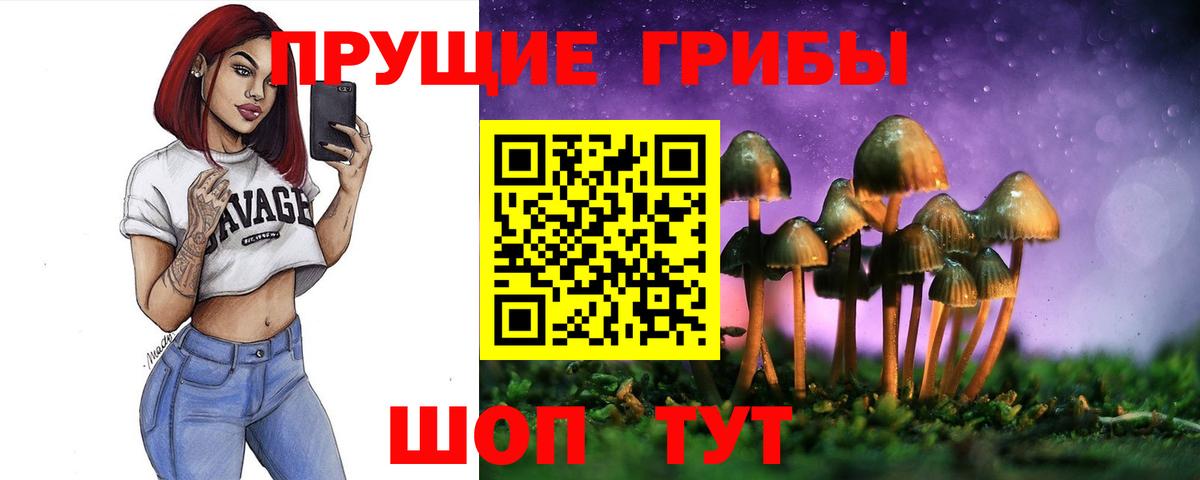 Галлюциногенные грибы мицелий Куйбышев